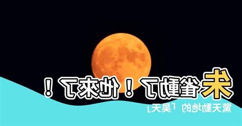 朱雀動了 他來了